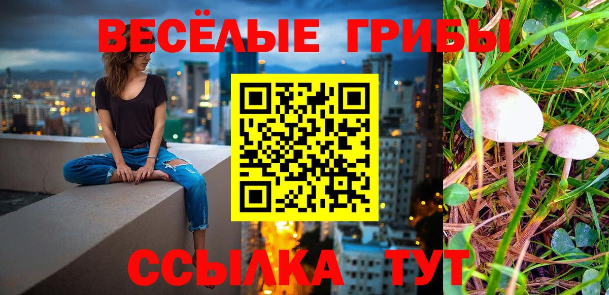 Галлюциногенные грибы Psilocybine cubensis  Вход с VPN  Зеленогорск 